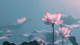 pink lotus flower with blurred blue background, minimal single flower