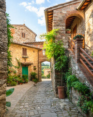 Wall Mural - The picturesque village of Montefioralle, near Greve in Chianti, on a sunny summer day. Province of Florence, Tuscany, Italy.