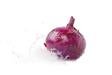 Canvas Print - red onion isolated on white background