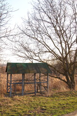 Wall Mural - A small shed in a field