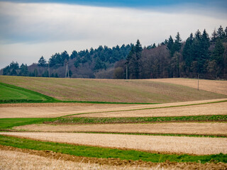 Wall Mural - Feld im Frühjahr