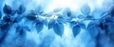 Fototapeta Konie - Blue Pirouette Holly Leaf Abstract Background, Wallpapers Background