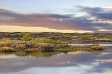 Canvas Print - Autumn in Forollhogna national Park, Norway