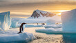 Emperor penguin (Aptenodytes forsteri) colony with sunrise glistening off icebergs.