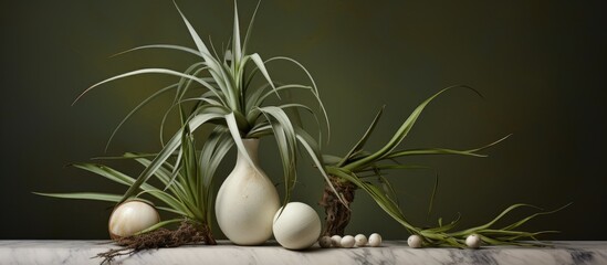 Wall Mural - Several white vases are arranged neatly on top of a wooden table, creating a simple yet elegant display. Each vase is a different size and shape, adding visual interest to the composition.