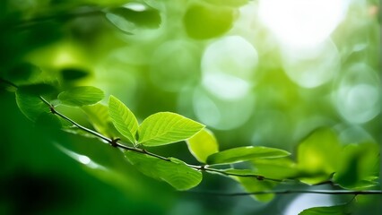 Calm nature background of spring leaves: A close-up  of a branch of a tree with fresh green leaves in soft morning light, spring, creating a serene landscape, bokeh, wallpaper