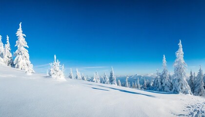 Wall Mural - winder wonderland wide panorama snowy snowflakes on blues header background for winter