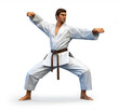Karate Fighter, Low Poly Style, Ai Generated, Isolated On White Background