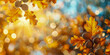 Warm sunlight filters through vibrant golden autumn leaves with ripe acorns ready for the season