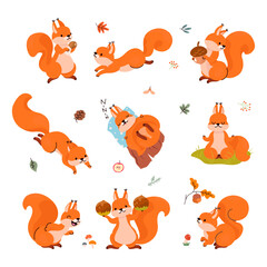 Poster - Cartoon squirrel. Forest funny squirrels in different poses. Animals sleep, storing food for winter, play and meditation. Cute nowaday vector character