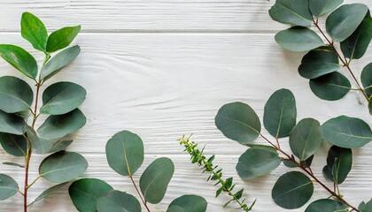 Canvas Print - the workspace is decorated with green eucalyptus leaves floral pattern on a white background the apartment lay top view floral frame frame of flowers