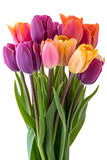 Fototapeta Tulipany - bouquet of red tulips