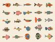 Exotic fish. Marine underwater life recent vector stylized illustrations with fishes