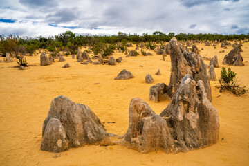 Poster - Lunar lanscape of the Pinnacles Desert at Nambung National Park, Western Australia, Australia