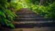 a closeup of a beautiful straight stairway with big heightened steps going to the top of the hill filled with greenery, stairs in the park
