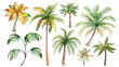 Palmen Icons Tropisch Pflanzen Sommer Strand Wasserfarben Aquarell Set 