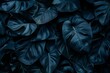 © Jelena - Dark and mysterious tropical leaf textures Presenting an abstract and dramatic backdrop for bold and creative visual projects