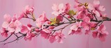 Fototapeta Storczyk - A flowering plant with pink blossoms on a pink background, showcasing the delicate petals and twigs of a cherry blossom tree