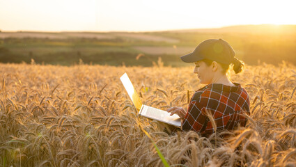 Aufkleber - Woman farmer working with laptop on wheat field. Smart farming and digital agriculture