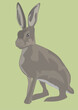  an illustration of a hare