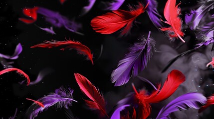 Wall Mural - Black background with purple and red feathers falling in soft scene. Feathers falling on a dark background in a romantic style.