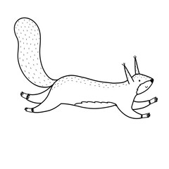 Wall Mural - Cute black and white squirrel. Jumping forest character in cartoon style for kids design. Orange woodland animal. In outline for coloring. Vector illustration