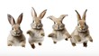 Four adorable brown rabbits with perky ears hopping on white background