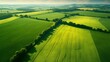 Aerial drone acres of green fields stretching for. Sunny landscape beauty of nature harvest farms. Top view from above green grass and forest poster photo