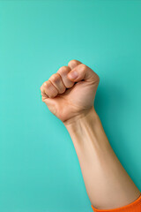 Wall Mural - A fist on a clean studio background