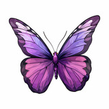 Fototapeta Motyle - Purple color butterfly vector illustration