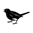 Birds silhouettes  on white background, vector illustration