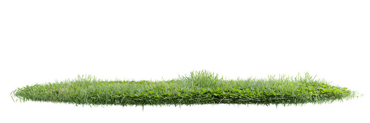 Poster - unit green grass on transparent background 3d rendering png