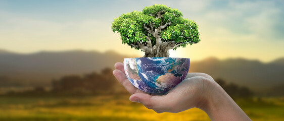 Wall Mural - Globe ,earth in human hand, holding. Earth image provided by Nasa