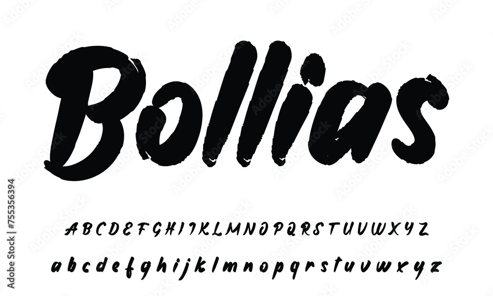handwritten calligraphy font. Vector alphabet. Hand drawn letters Stock ...