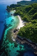 Poster - Aerial view of a beach and forested area. Perfect for travel and nature concepts
