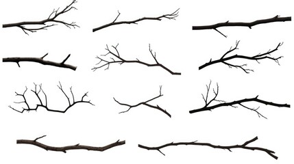 Wall Mural - Branches suspended in mid-air, suitable for abstract concepts