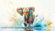 Splashing elephant in watercolor.