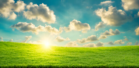 Wall Mural - fresh springtime lawn under sunny sky