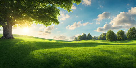 Wall Mural - fresh springtime lawn under sunny sky