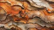 
A macro photograph of natural textures and patterns found in tree bark