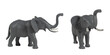 © Marcela Ruty Romero - Plastic elephant toy, isolated on white background.