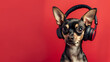A shocked Chihuahua dog listens to music with headphones on a red background. There are spaces for text.