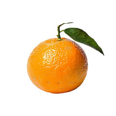 Poster - Fresh seville orange fruit isolated on white background