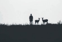Photo Is Presented With A Person In Silhouette And A Couple Of Deer In The Background