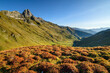 © Westend61 - Austria, Tyrol, Autumn flora on Kalkwand mountain