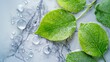 © ND STOCK - Spa Product Green leaves in water on a light marble background. Summer concept, flat lay, top view. background for the display of natural cosmetics. Nature background for luxury product placement