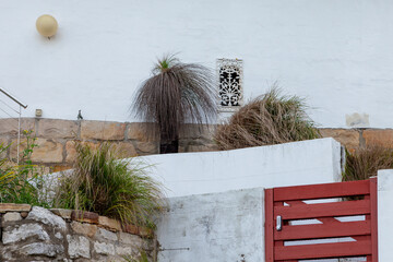 Wall Mural - Manly, New South Wales, Australia