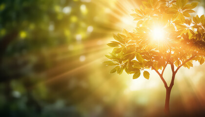 Wall Mural - A tree is in the foreground of a bright, sunny day