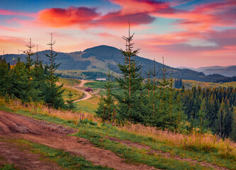 Wall Mural - Dirt country road in Carpathian mountains. Picturesque summe sunrise ob Krynta valley, Ukraine, Europe. Splendid outdoor scene of Ukrainian countryside. Traveling concept background..