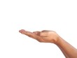 © Weerajit James - The man's hands open and stretched forward with two hands. On a white background business concept.
